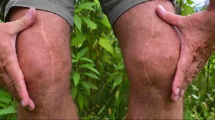 Assessoria para Compra de Carros com Isenção