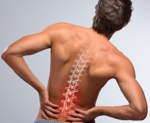 Assessoria para Compra de Carros com Isenção